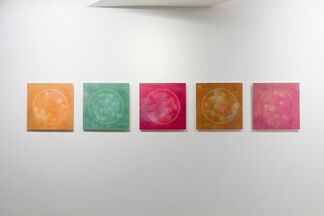 Brian O'Connell | Palomar, installation view
