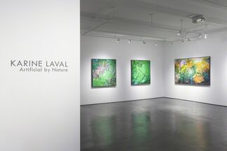 Karine Laval, installation view