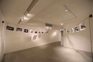 The Solo Exhibition of Nobuyoshi Araki, installation view