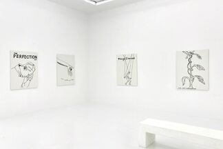 JIM JOE "WHAT DOES IT MEAN AND HOW DID YOU CHOOSE IT", installation view