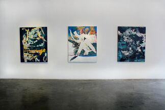 The Silent World, installation view