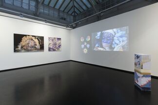 Les Oracles, installation view