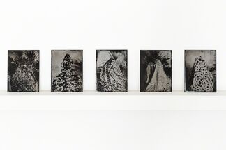 The Worshipper of the Image, installation view