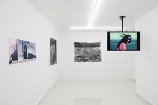 Ana María Millán | Hielo negro, installation view