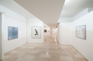 Stefano Graziani - Under the Volcano and Other Stories, installation view
