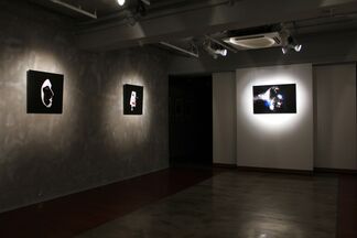 Niko de La Faye: Visages, installation view