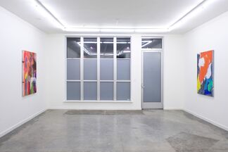 Evan Nesbit: Perishable Gestures, installation view
