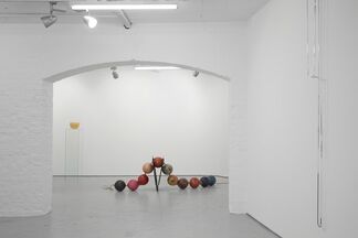 I Had the Landscape in My Arms, installation view