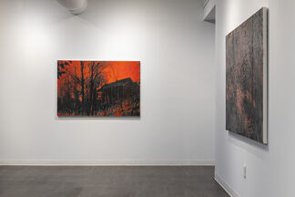 William Anzalone: Louise's Legacy, installation view