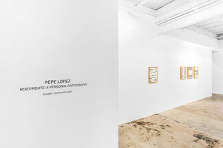 Root/Route: A Personal  Cartography, installation view
