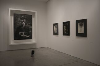 Territorial crossing, installation view