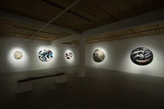 Adam Gunn: Anything, Anytime, Anywhere and For No Reason At All, installation view