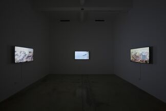 Carlos Martiel: Aislado, installation view