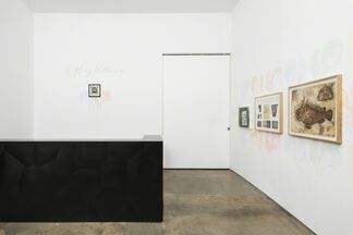 Jeffery Vallance: Other Animals, installation view