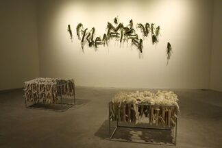 Solo exhibition : Conservation of vitality by Lai Dieu Ha, installation view