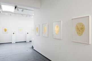 Damien Hirst - Death or Glory, installation view