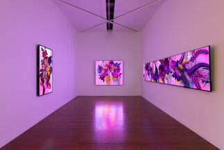 Garlands for YouTube, installation view