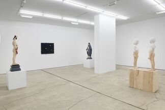Gehard Demetz: Introjection, installation view