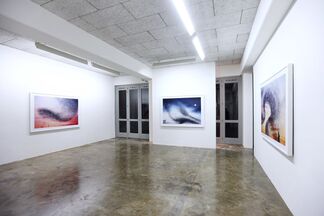 Rutger Brandt Gallery at VOLTA13, installation view