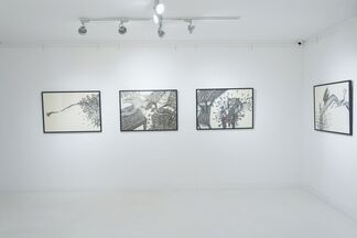 DISAPPEARENCE | P. PUSHPAKANTHAN, installation view