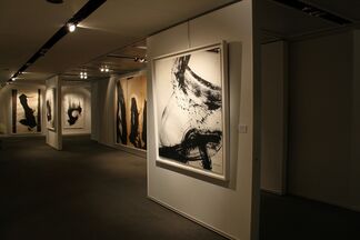 Qin Feng Solo Exhibition, installation view