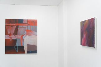 Zoe Avery Nelson, The Measure of a Boi, installation view