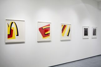 Keith Coventry - Copper and Silk, installation view