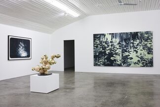 Bend to Her Will, installation view