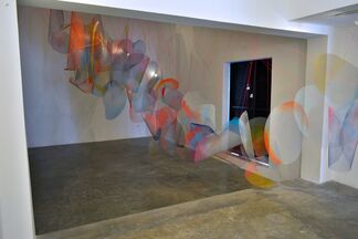CAMPOS DE FUERZA (Force Fields), installation view