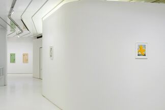 Conor Backman: Diorama, installation view