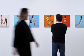 Lino Lago: Fake Abstract, installation view