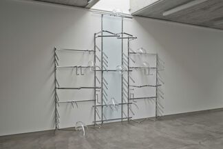Gabriele Beveridge - Tropisms, installation view