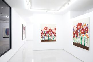 Ellie Omiya "Secret Garden", installation view