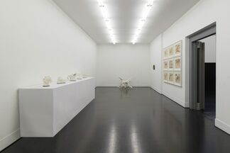 Museo di Storia Innaturale. Sala XVIII - Creature Meravigliose, installation view