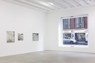 Rachel Howard: Northern Echo, installation view