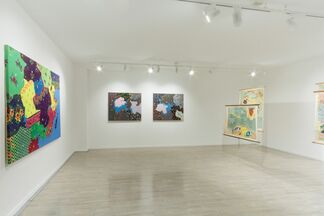 Servet Koçyiğit: WHEN THE LION COMES OUT OF THE SHADE, installation view