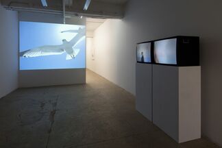Michelle Elzay: Devour, installation view
