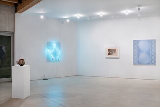 Self-preservation (with or without applause), installation view