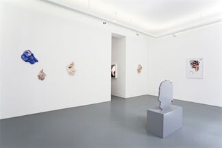 Rachel de Joode – Surfaces, installation view