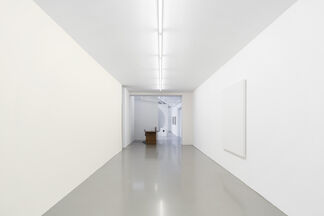 Willem de Rooij - Flare Perception, installation view
