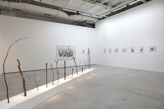 Wang Yahui " Near and Far ", installation view