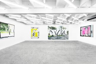 Unseen Landscapes, installation view