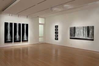 Mitchell Lonas: Stillness, installation view