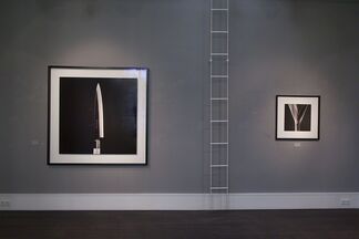 Jean-Baptiste Huynh, installation view