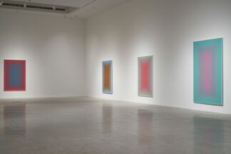 Wang Guangle: Duo Color, installation view
