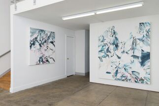 Kings Canyon, installation view
