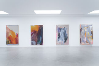 Stefan Strumbel 'Handle with care', installation view