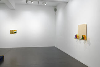 ANDY OUCHI  "SUNSET RIDGE", installation view