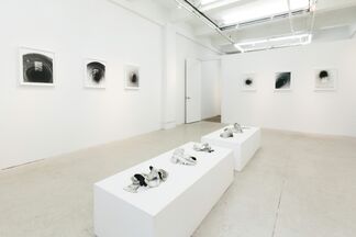 SCIENCE FICTIONS:  Brittany Nelson and Gabriela Vainsencher, installation view