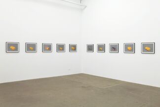 Morgan Fisher, installation view